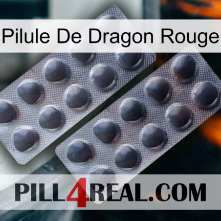 Red Dragon Pill 31
